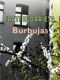 Burbujas Bubbles